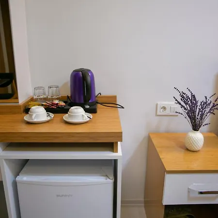 アパートホテル Blau Gruen 4*