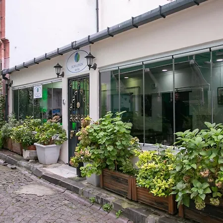 Blau Gruen 公寓式酒店 伊斯坦布尔